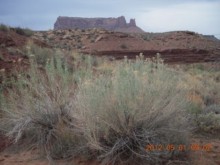 129 7x1. Canyonlands Murphy hike