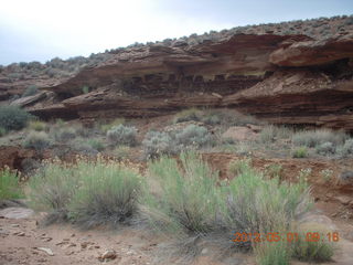 140 7x1. Canyonlands Murphy hike