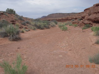 148 7x1. Canyonlands Murphy hike