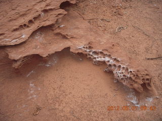 153 7x1. Canyonlands Murphy hike