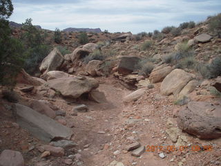 155 7x1. Canyonlands Murphy hike