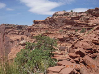 168 7x1. Canyonlands Murphy hike