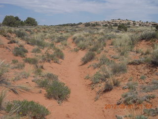 175 7x1. Canyonlands Murphy hike