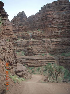 194 7x2. Onion Creek drive