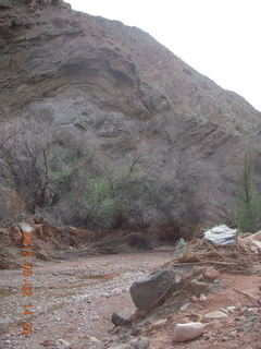 223 7x2. Onion Creek drive