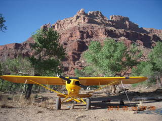 56 7x4. Mexican Mountain - CoyoteUgly Cub
