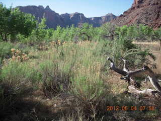 81 7x4. Mexican Mountain