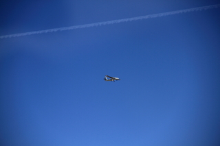 Greg A's pics: