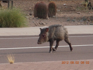 Greg A's pics: