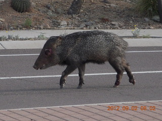 Greg A's pics: