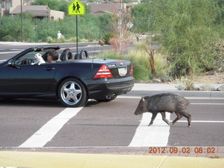 Greg A's pics: