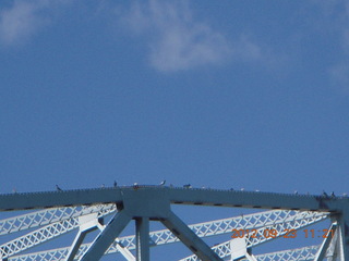 Hastings Bridge Float-In - mural