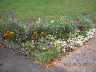 9 81v. Durango in the morning