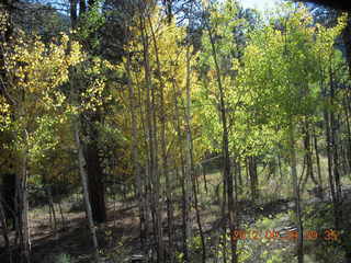 102 81v. Durango-Silverton Narrow Gauge Railroad