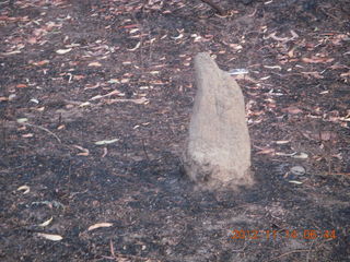 46 83e. total solar eclipse - termite mound