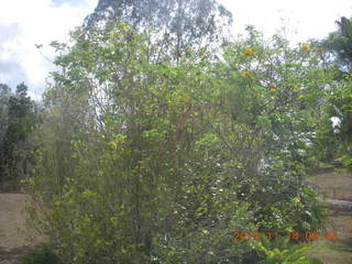 111 83e. total solar eclipse - drive back to Cairns