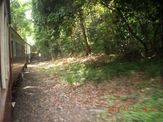 75 83f. Kurunda rain forest tour - scenic railway