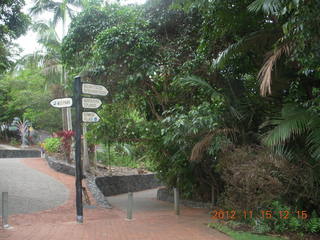 149 83f. Kurunda rain forest tour