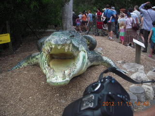 339 83f. Hartley's Crocodile Adventures