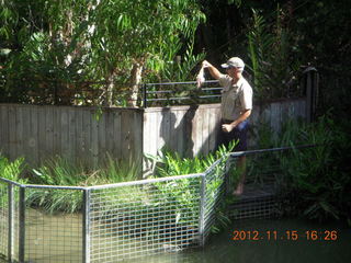 405 83f. Hartley's Crocodile Adventures - crocodile show