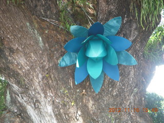 164 83g. Cairns, Australia - lanterns hanging from trees