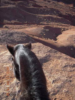 376 83q. Monument Valley tour - view from horseback at John Ford point