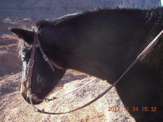 377 83q. Monument Valley tour - horse at John Ford Point