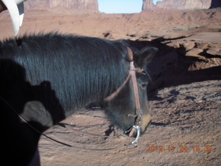 379 83q. Monument Valley tour - horse at John Ford point