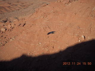 409 83q. Monument Valley tour - bird in flight