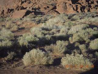 473 83q. Monument Valley tour - shrubs