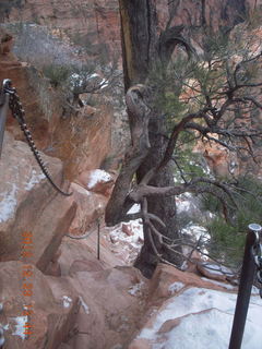 135 84p. Zion National Park - Angels Landing hike