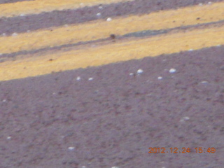 329 84q. Zion National Park - hail