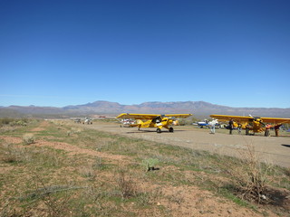 Sean G grapevine pictures - Grapevine