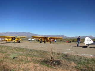Sean G grapevine pictures - two airplanes above