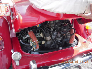 model VW beetle at Doug's Bugs