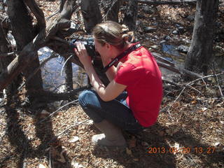 Theresa Q's (small) pictures - aerial of Sedona