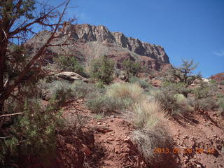 82 89s. Onion Creek drive