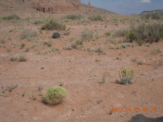 99 89u. Caineville Wash Road