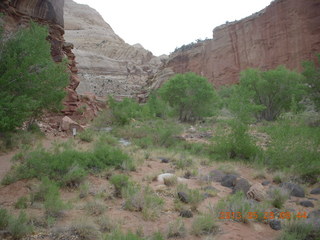 133 89u. Capitol Reef National Park