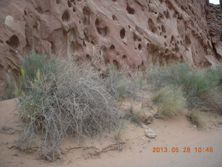 190 89u. Capitol Reef National Park - scenic drive