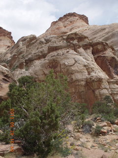 195 89u. Capitol Reef National Park - scenic drive