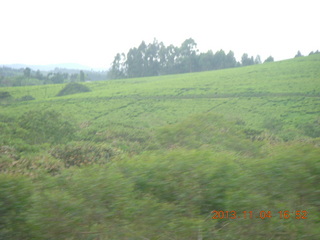 110 8f4. Uganda - drive to chimpanzee park