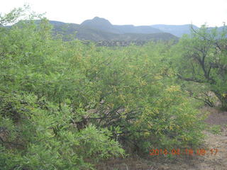 Bouquet Ranch