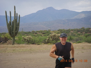 Bouquet Ranch run - giant saguaro