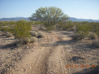 Alamo Lake airstrip run