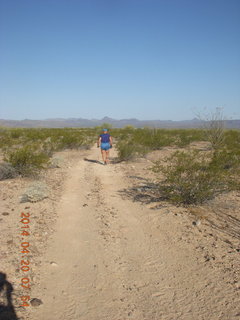 Alamo Lake - Wayside - runway