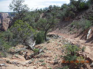 Bouquet Ranch - picnic area