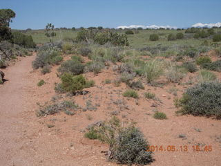 170 8md. Canyonlands National Park - Murphy trail