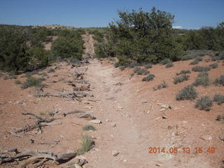 173 8md. Canyonlands National Park - Murphy trail run