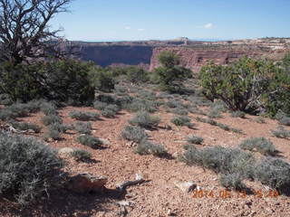 176 8md. Canyonlands National Park - Murphy trail run